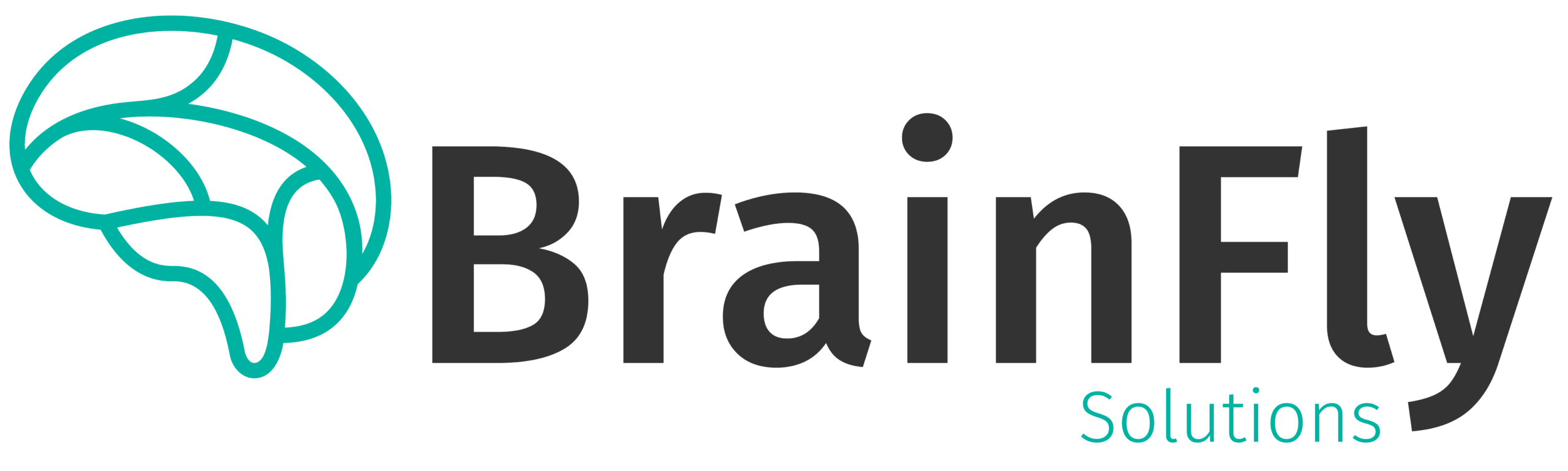 Brainfly Solutions